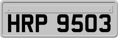 HRP9503