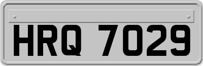 HRQ7029