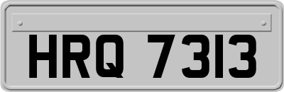 HRQ7313