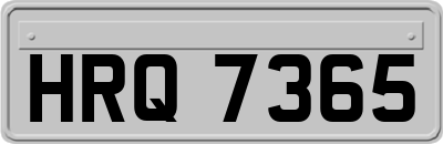 HRQ7365