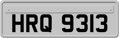 HRQ9313