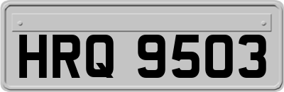 HRQ9503