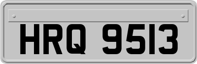 HRQ9513