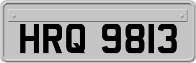 HRQ9813