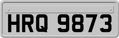 HRQ9873