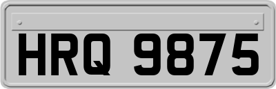 HRQ9875