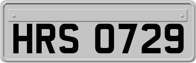 HRS0729