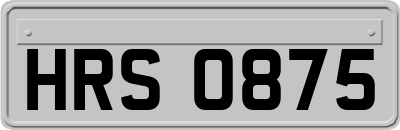 HRS0875