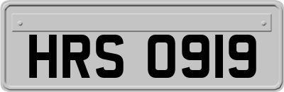 HRS0919