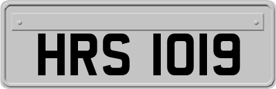 HRS1019