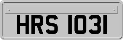 HRS1031