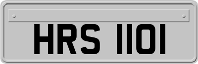 HRS1101