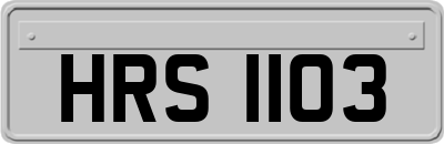 HRS1103