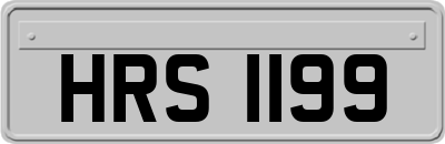 HRS1199