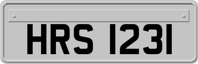 HRS1231