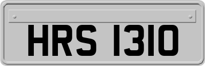HRS1310