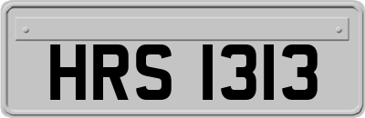 HRS1313
