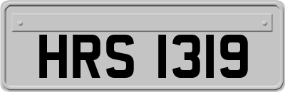 HRS1319