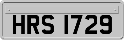 HRS1729