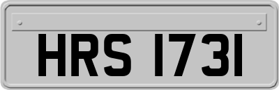 HRS1731