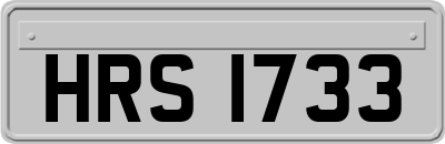 HRS1733