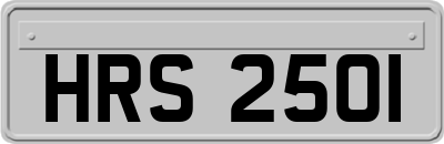 HRS2501