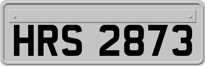 HRS2873