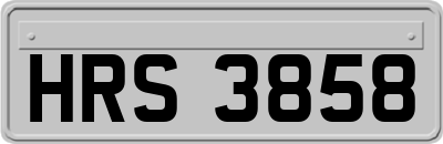 HRS3858