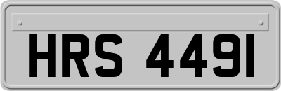 HRS4491