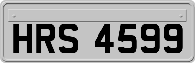 HRS4599