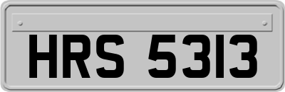 HRS5313