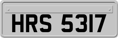 HRS5317