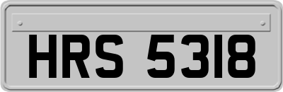 HRS5318