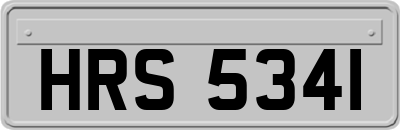 HRS5341