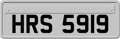 HRS5919