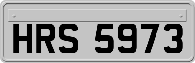 HRS5973
