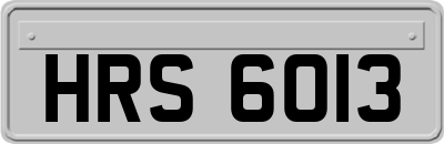 HRS6013