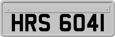 HRS6041