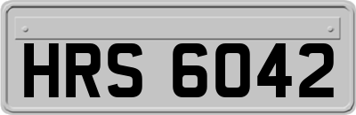HRS6042