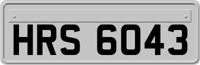HRS6043