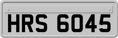 HRS6045