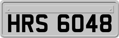 HRS6048