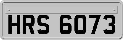HRS6073