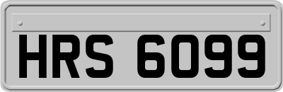HRS6099