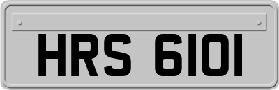 HRS6101