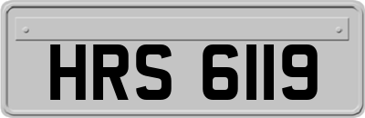 HRS6119