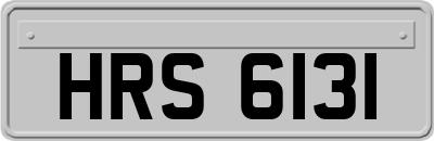 HRS6131