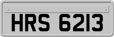 HRS6213
