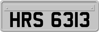 HRS6313