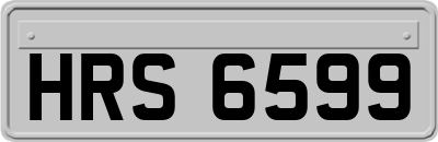 HRS6599